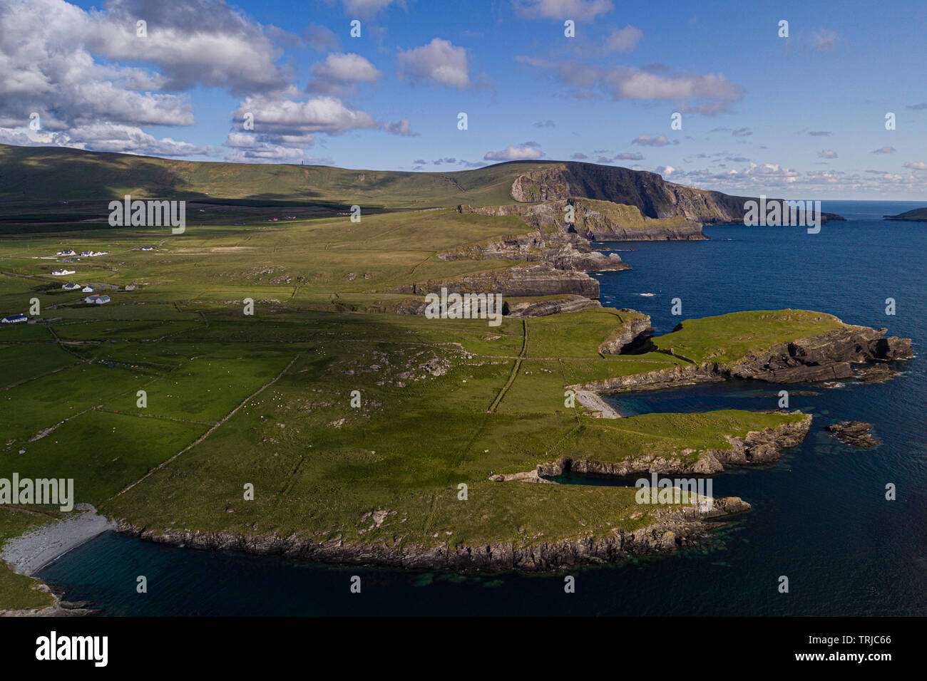 Falaises de Bray Head sur l'île de Valentia, comté de Kerry, Irlande Banque D'Images