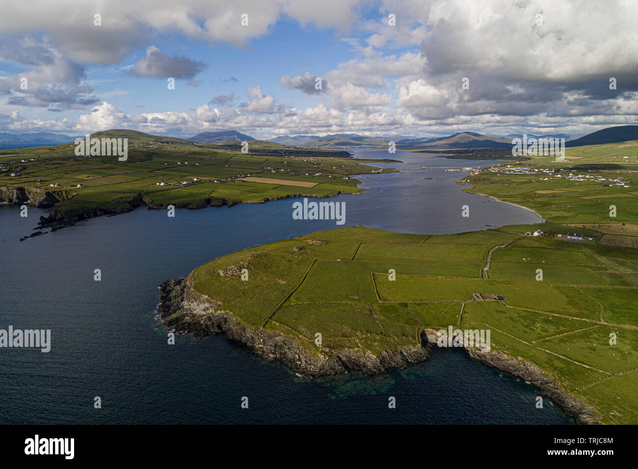 Falaises de Bray Head sur l'île de Valentia, comté de Kerry, Irlande Banque D'Images