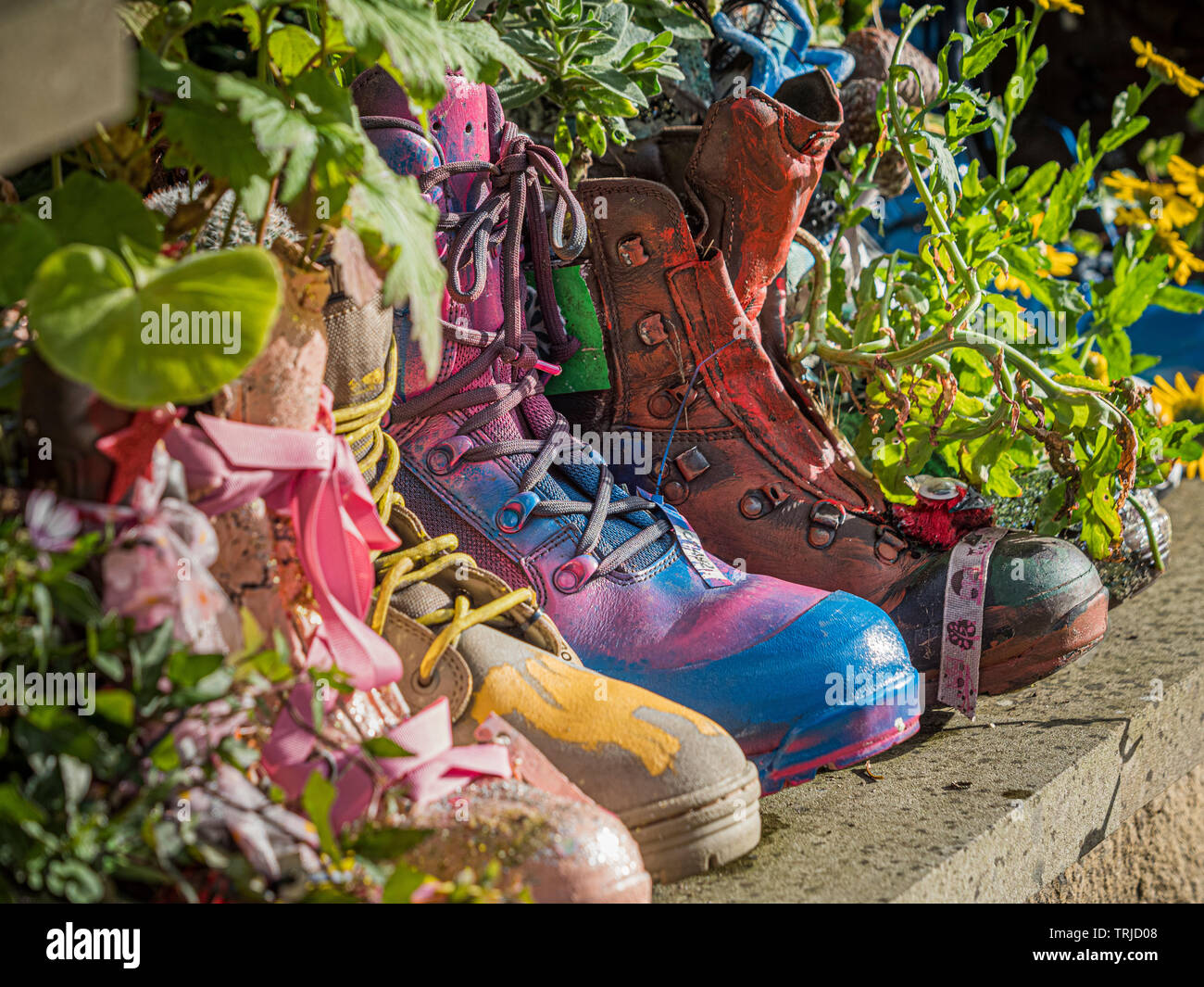 Des fleurs colorées en bottes peintes utilisées comme des jardinières à l'extérieur Banque D'Images
