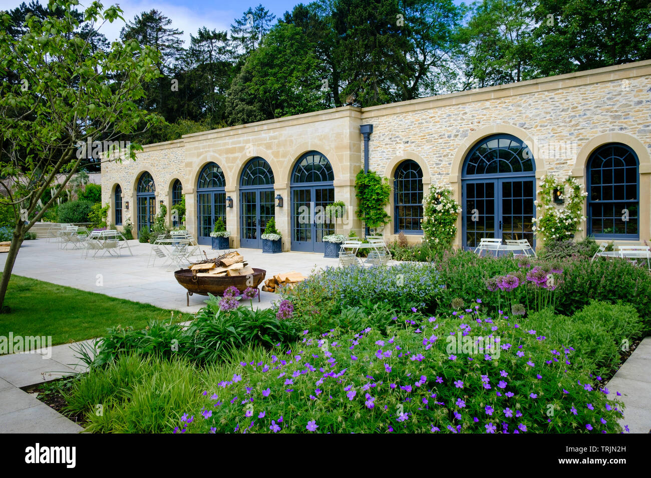 La Fig Maison et jardin clos anglais à Middleton Lodge près de Middleton Tyas dans Yorkshire du Nord Banque D'Images