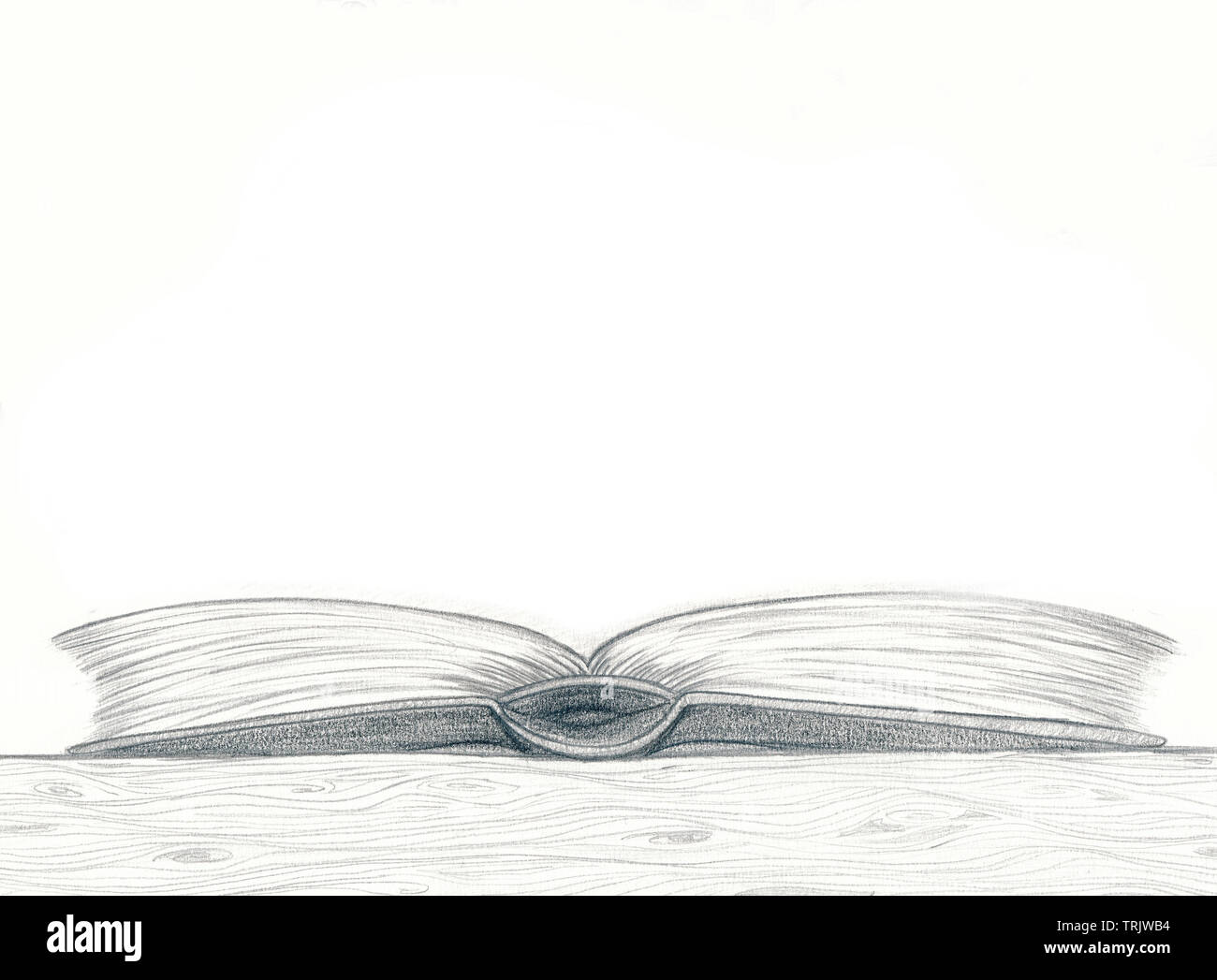 Crayon de bois livre eecopy   l'espace blanc par jziprian Banque D'Images