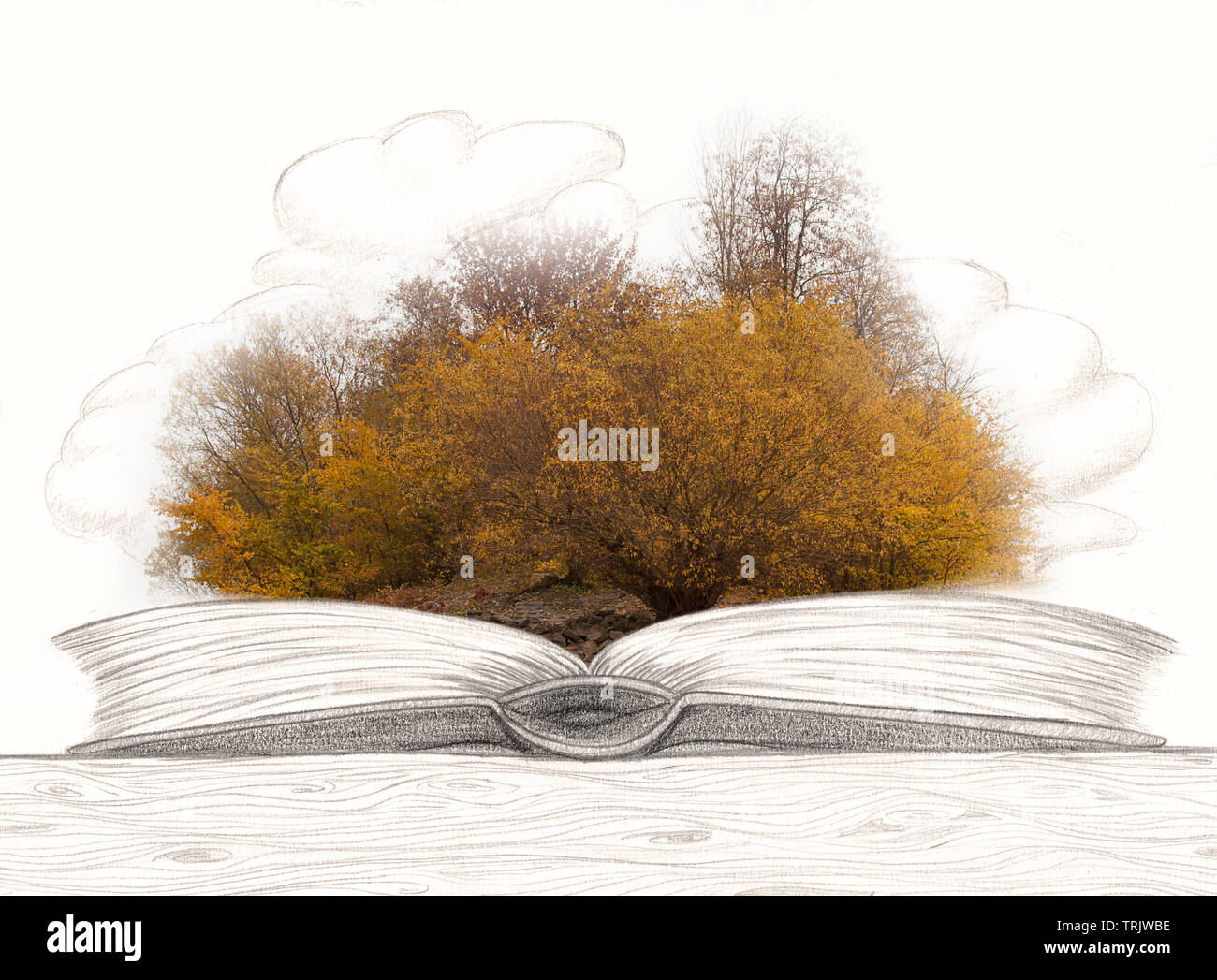 Crayon   livre photographie wood    nuages blancs par jziprian Banque D'Images