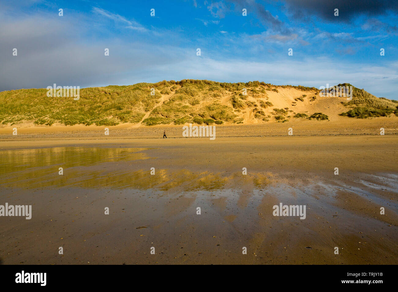 Promeneur solitaire éclipsé par des dunes de sable sous ciel bleu qui se reflète dans l'eau de marée descendante à la plage de la baie de Dunnet, Écosse Caithness Banque D'Images