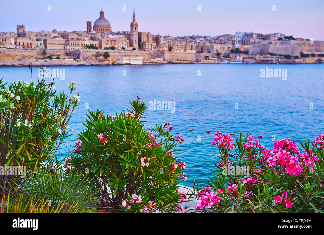 Regardez la Valette skyline à travers la verdure luxuriante du jardin, situé sur la péninsule de Tigne Point, Sliema, Malte Banque D'Images