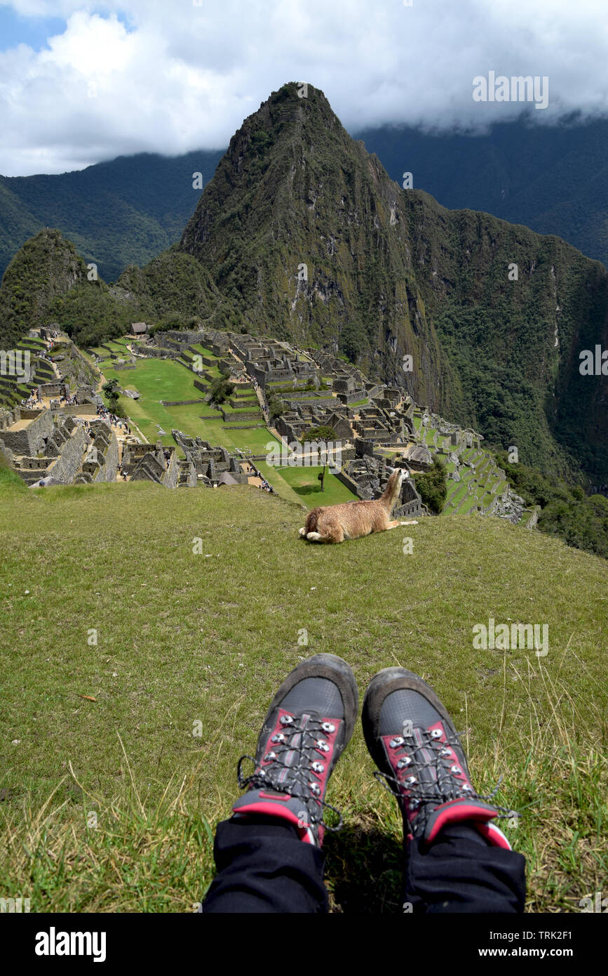 Chaussures de randonnée sur l'herbe avec un lama et le célèbre destination voyage Machu Picchu en arrière-plan Banque D'Images