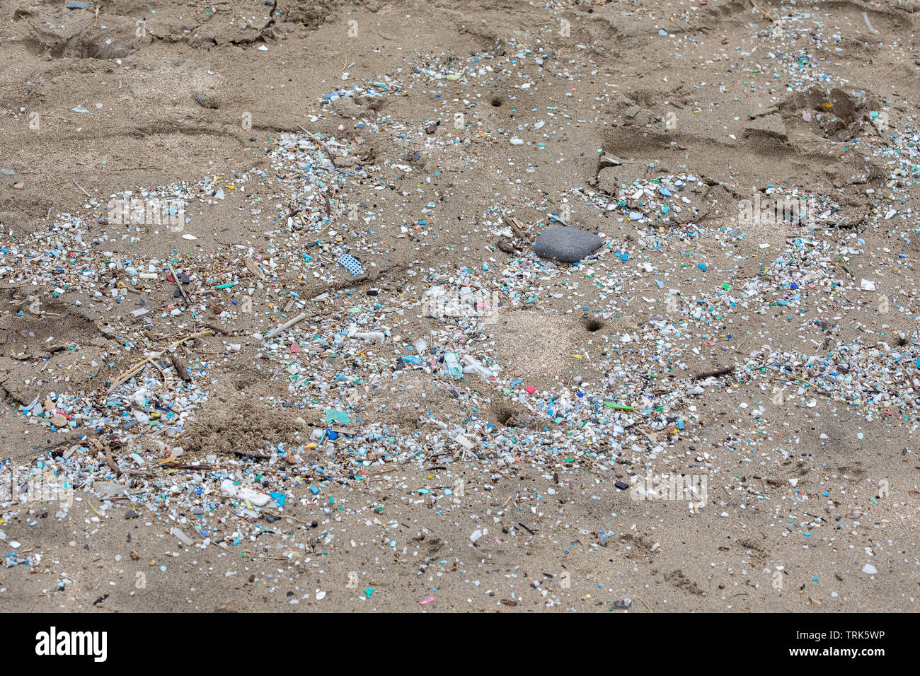 Des milliers et des milliers de morceaux de plastique marquer la laisse des hautes eaux sur cette côte plage. Une grande partie de la côté nord de l'île de Maui dans inaccessi Banque D'Images