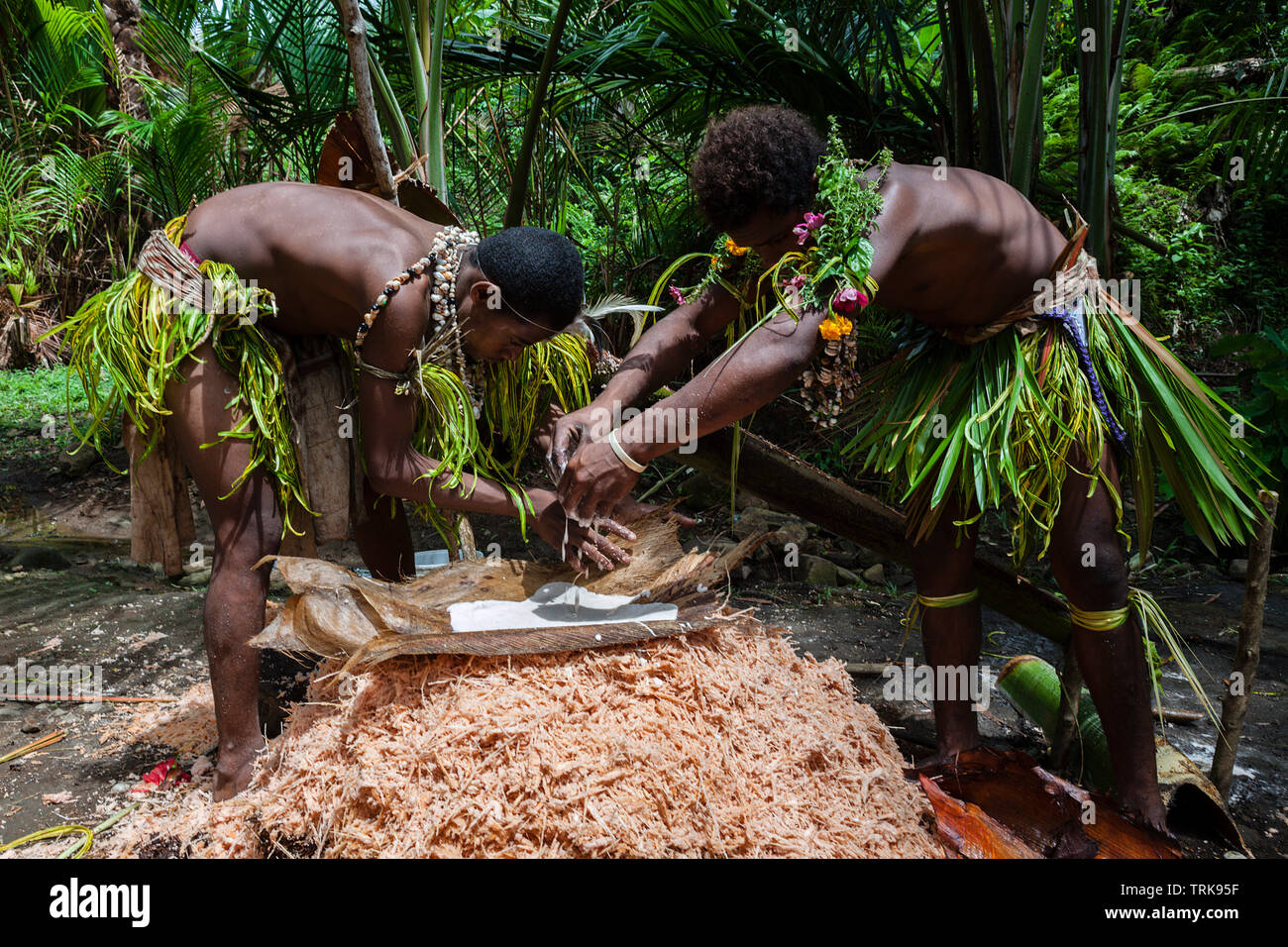 Démonstration de faire de sagou, Tufi, province de Oro, la Papouasie-Nouvelle-Guinée Banque D'Images