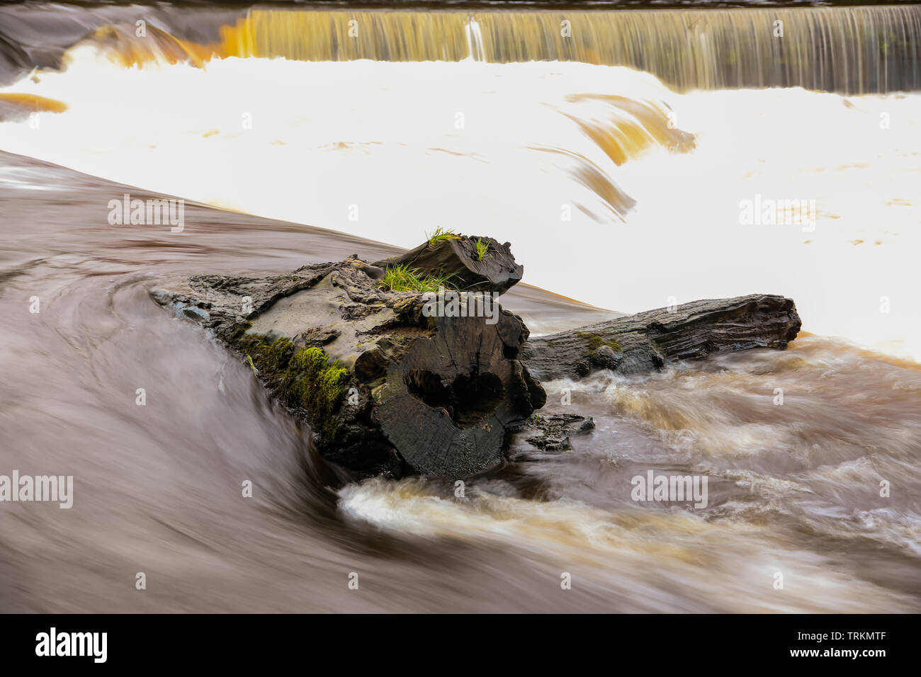 Un journal au-dessus du barrage sur la rivière Blackwater à Benburb, Co Tyrone, Irlande du Nord Banque D'Images