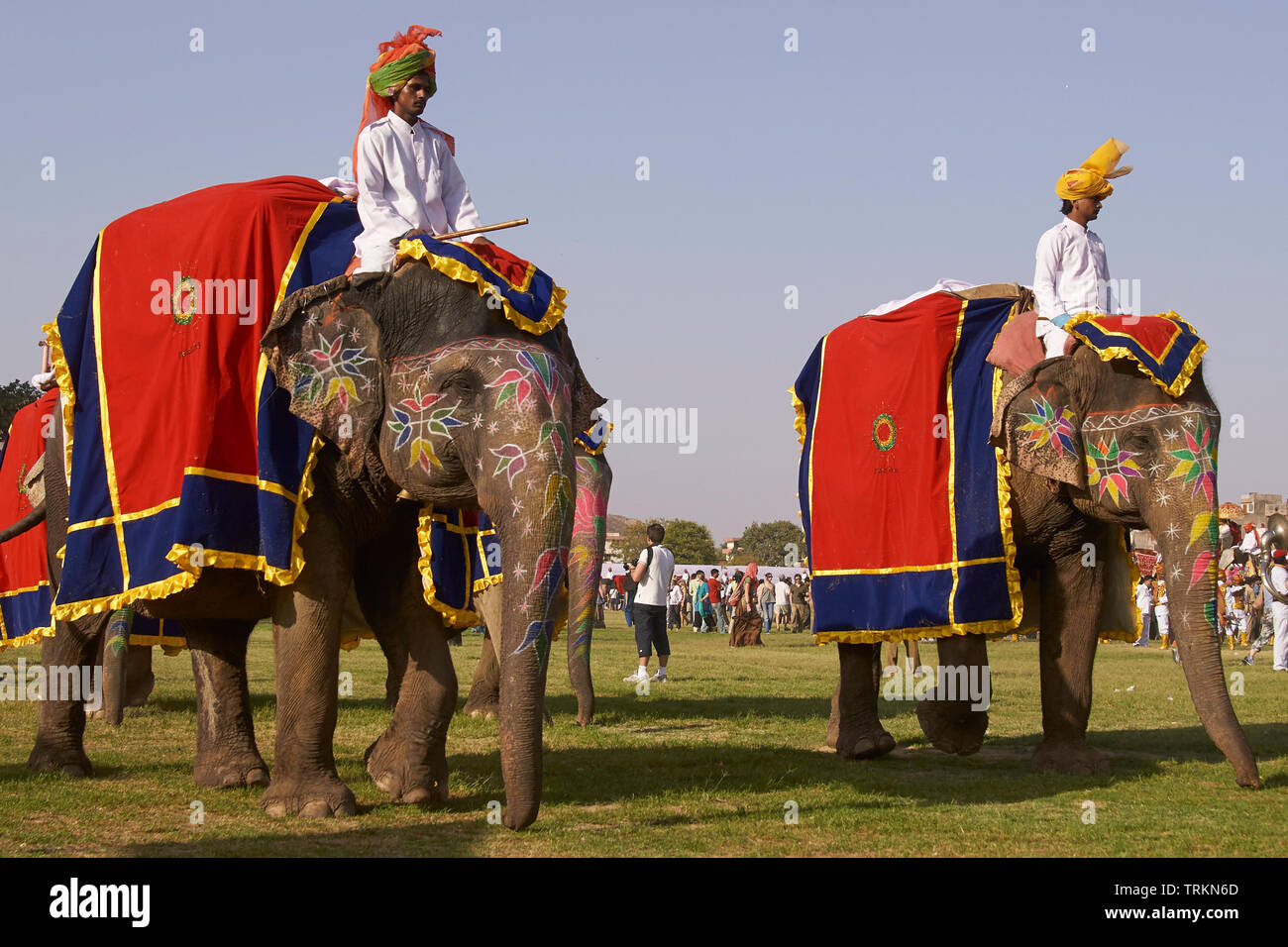 Les éléphants décorés et parade cornacs lors de l'assemblée annuelle du festival de l'éléphant à Jaipur, capitale du Rajasthan. Banque D'Images