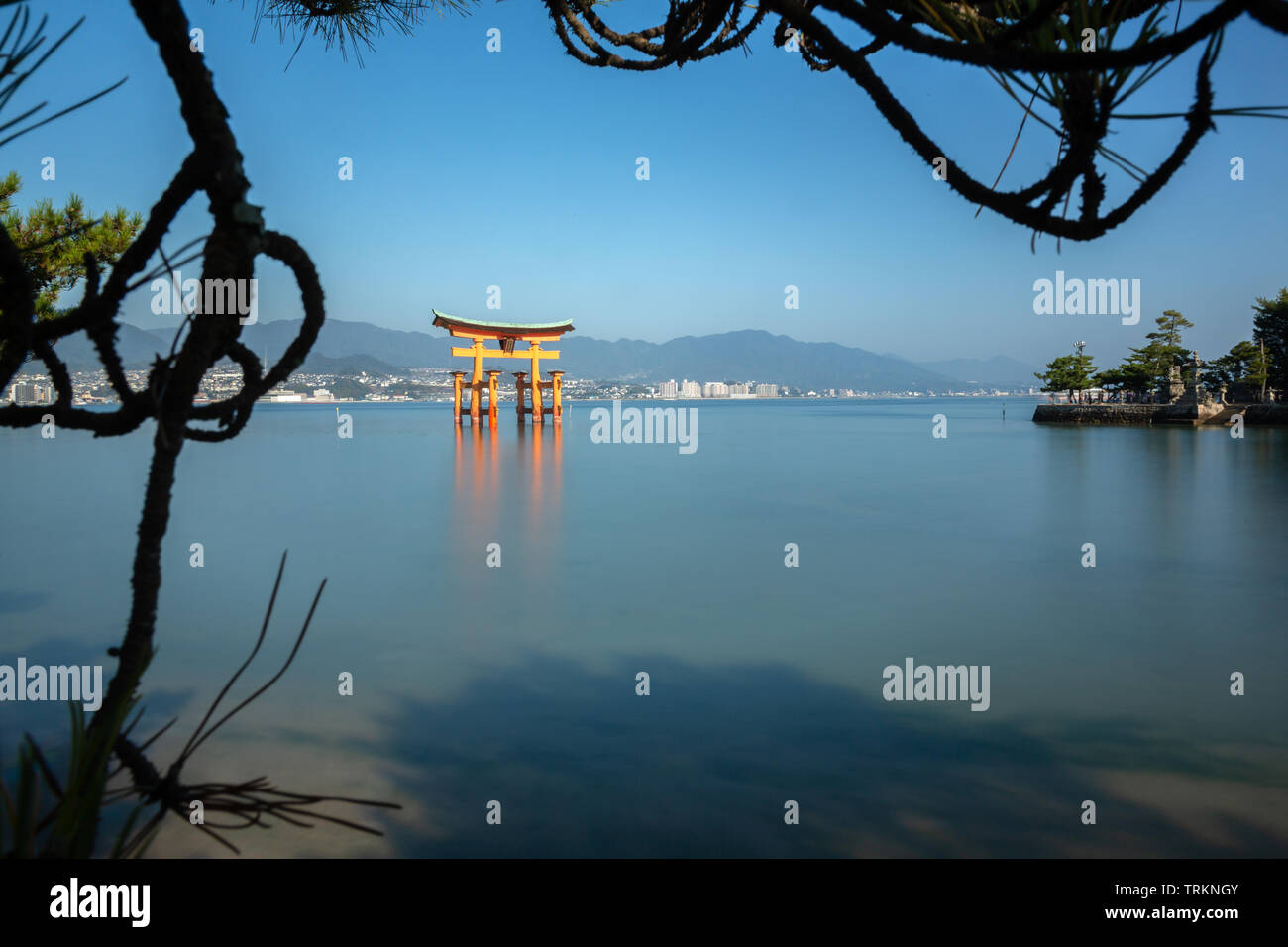 Torii flottant, Miyajima, Japon Banque D'Images