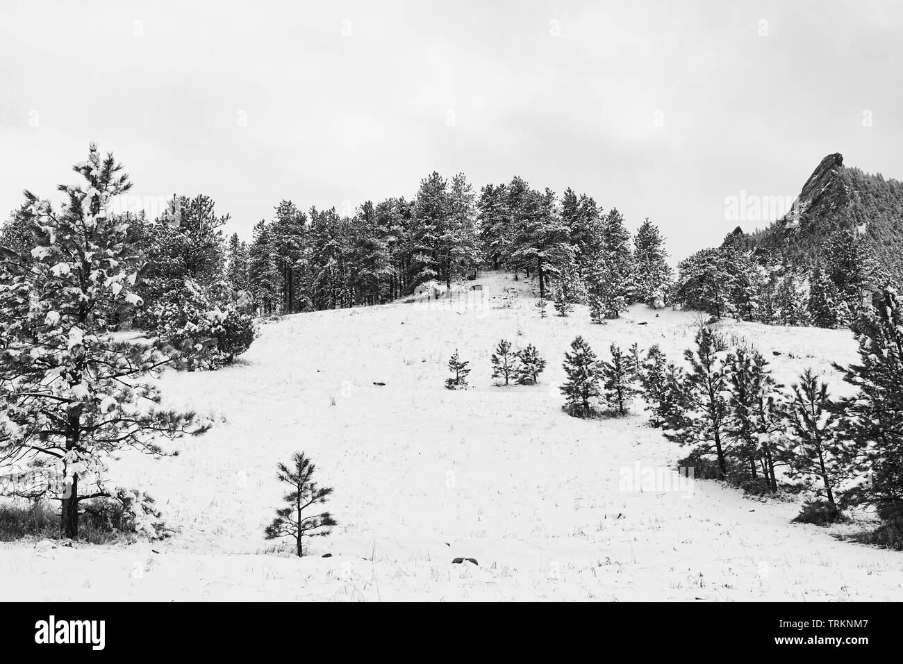 Une tempête de neige de printemps couvre la chaîne de montagnes, la vallée et les fers de Chautauqua Park, à Boulder, Colorado Banque D'Images