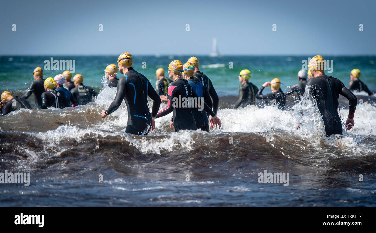 De grands groupes d'aspirants triathlon courir dans la mer pendant l'Vordingborg Triathlon au Danemark. Les participants portent des combinaisons. Banque D'Images