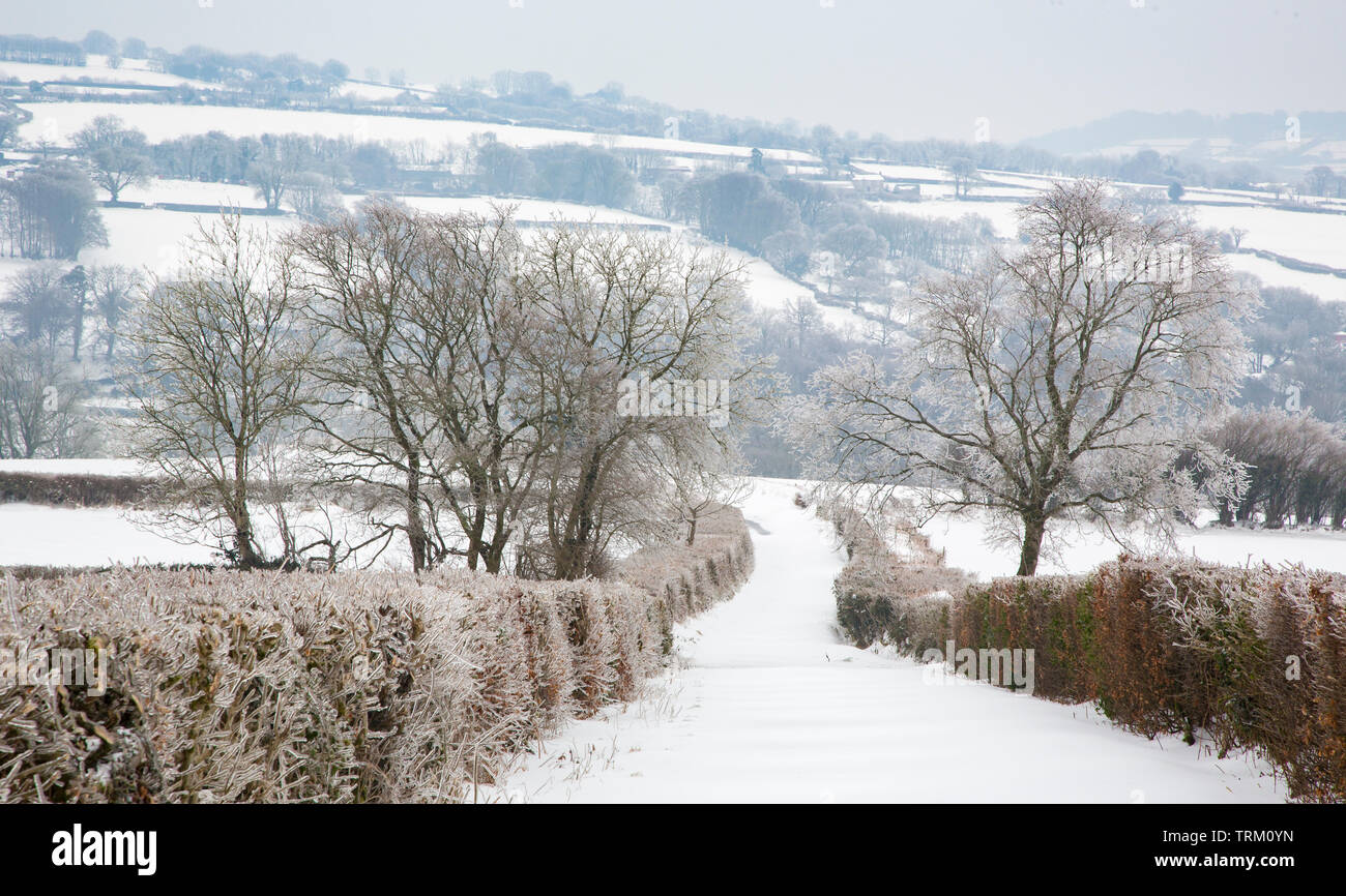 Route couverte de neige et de champs dans le Somerset au cours de la 'bête' de l'Est Mars 2018 tempête montrant l'effet de pluie verglaçante sur couvertures Banque D'Images