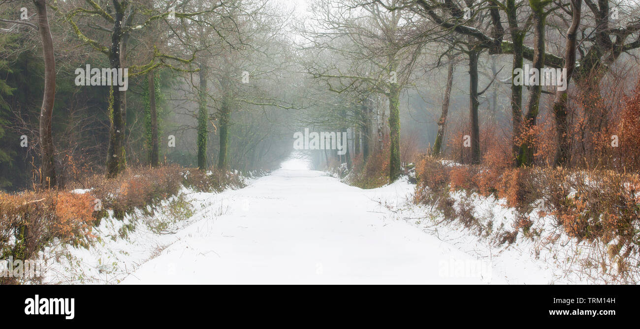Route couverte de neige dans le Somerset au cours de la 'bête' de l'Est Mars 2018 Tempête Banque D'Images