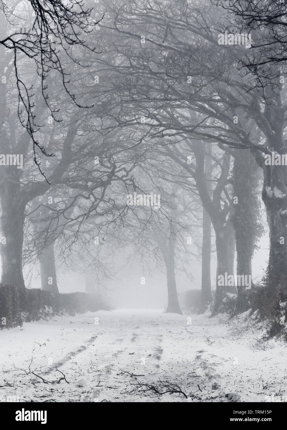 Piste couverte de neige dans le Somerset au cours de la 'bête' de l'Est Mars 2018 Tempête Banque D'Images