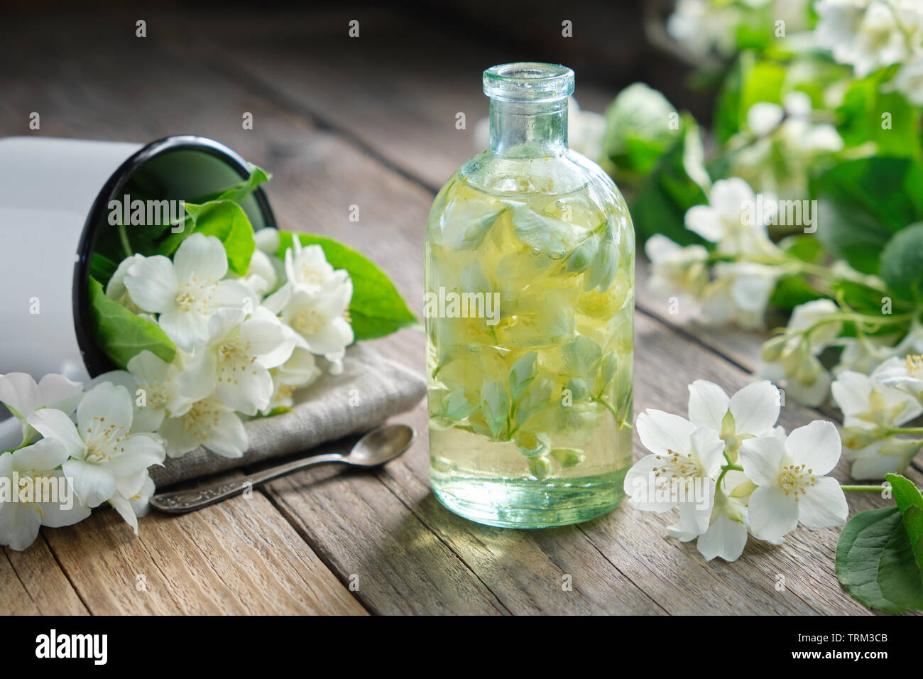 Une bouteille d'huile de jasmin et jardin fleurs. philadelphus coronarius Banque D'Images