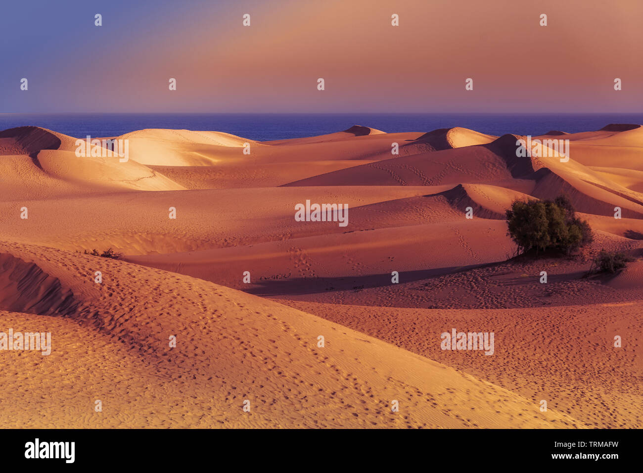 Die von Dünen auf Maspalomas Gran Canaria zur blauen Stunde Banque D'Images