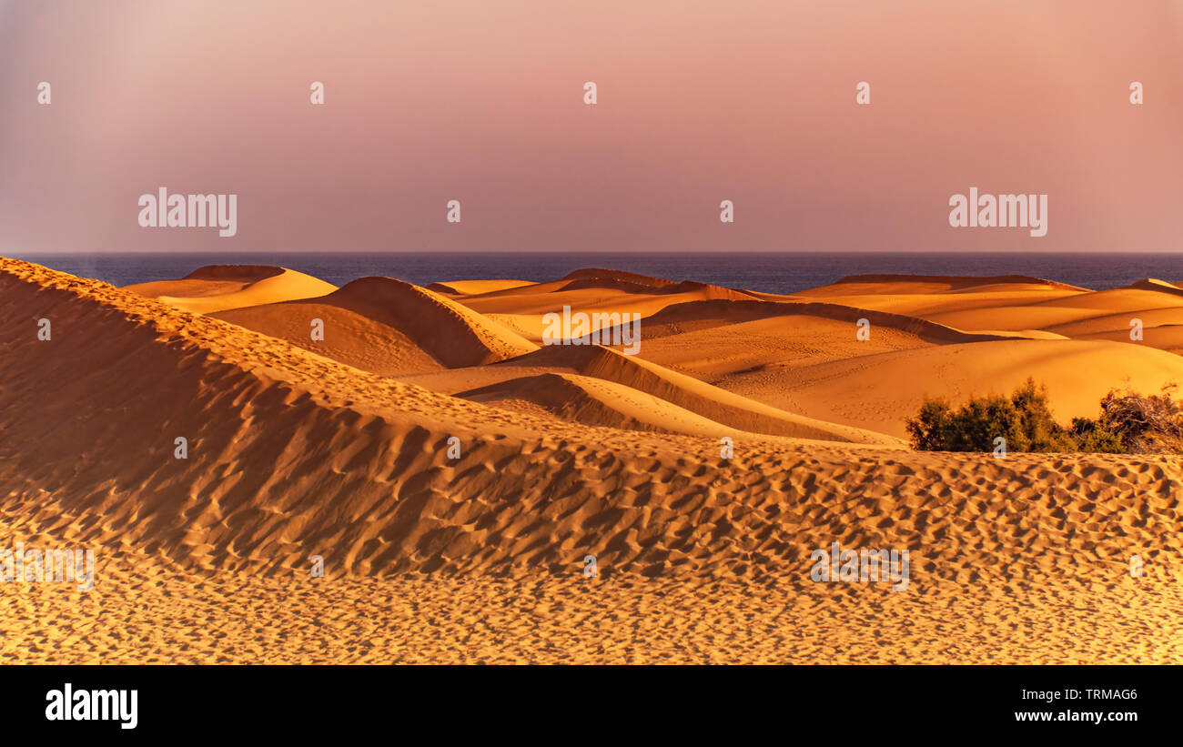 Die von Dünen auf Maspalomas Gran Canaria zur blauen Stunde Banque D'Images