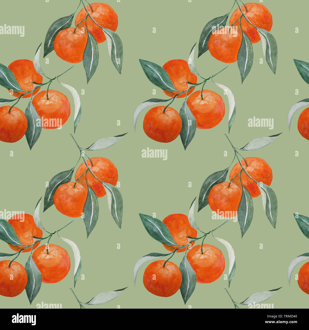 Aquarelle abstraite peinture à la main avec motif transparent la mandarine branches et feuilles sur fond kaki Banque D'Images