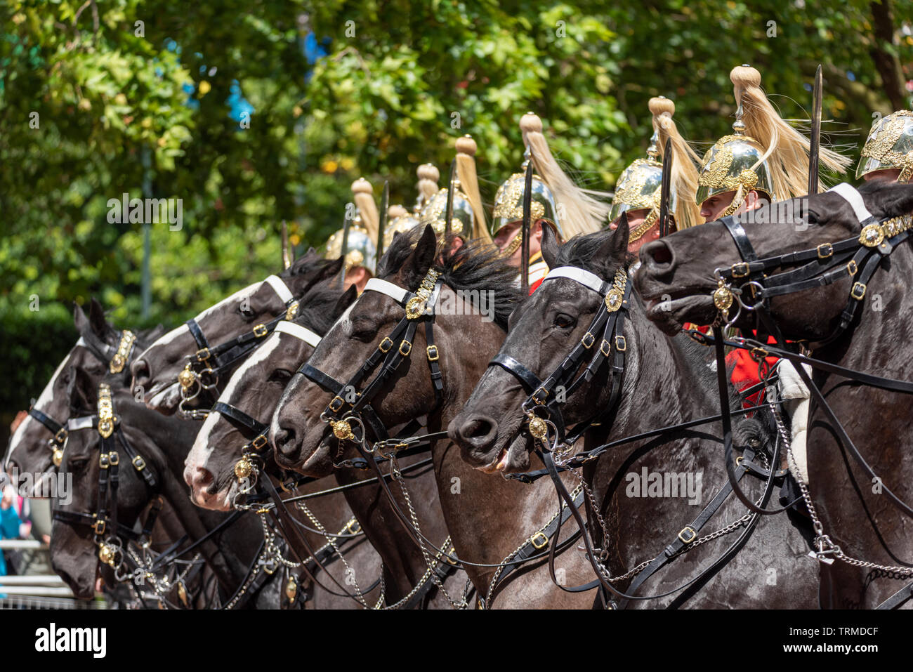 Life Guards of Household Cavalry Regiment monte les soldats d'escorte de Sovereign au Trooping the Colour 2019 dans le Mall, Londres, Royaume-Uni Banque D'Images