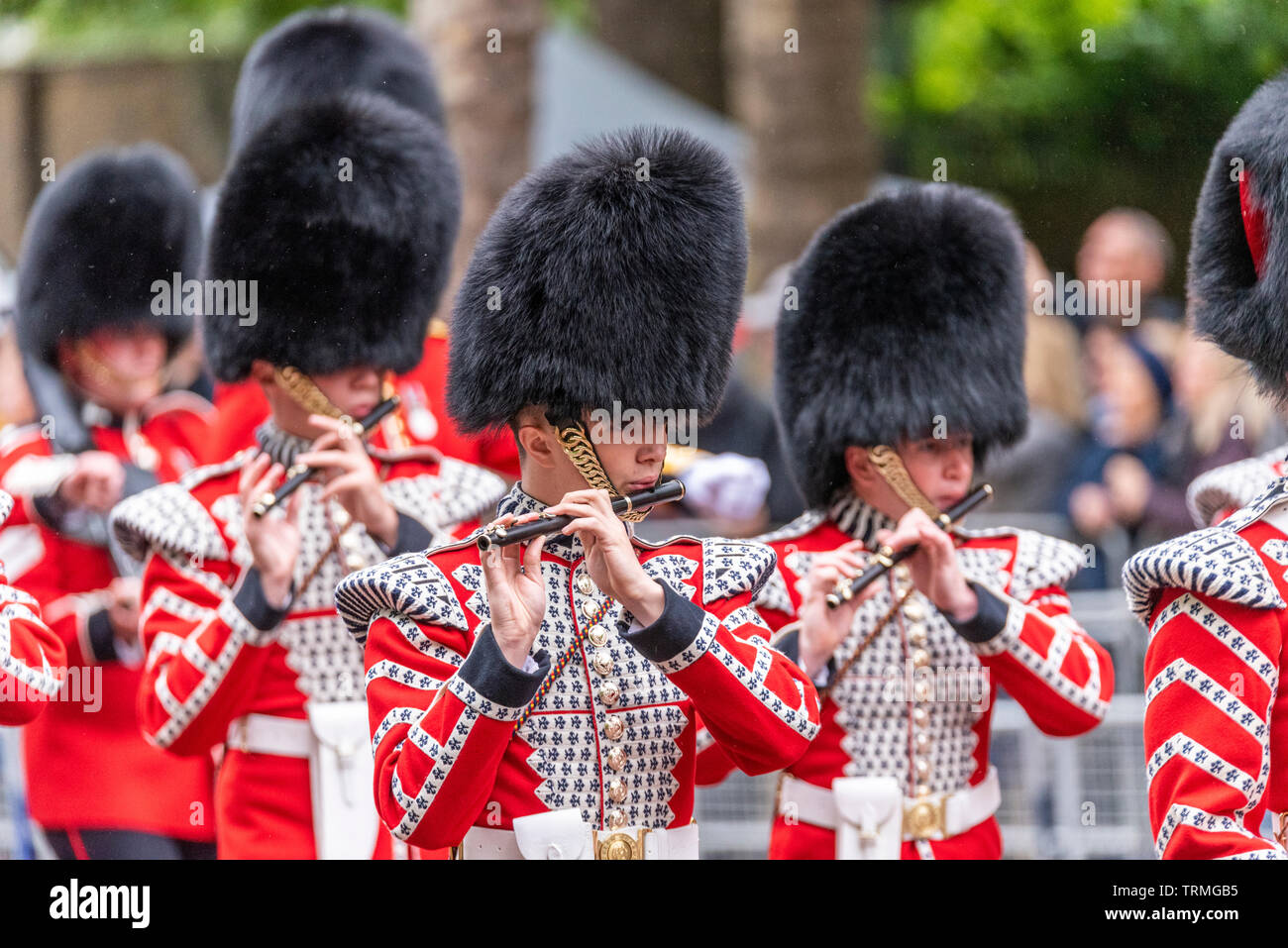Band of the Grenadier Guards corps of Drums, fanfare de flûte sur le Mall, Londres, Royaume-Uni pendant Trooping the Colour 2019. Habiller les uniformes Banque D'Images
