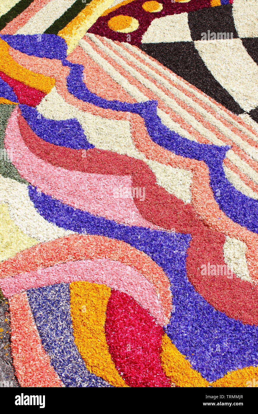Tapis de fleurs multicolores faites de pétales de fleurs Banque D'Images