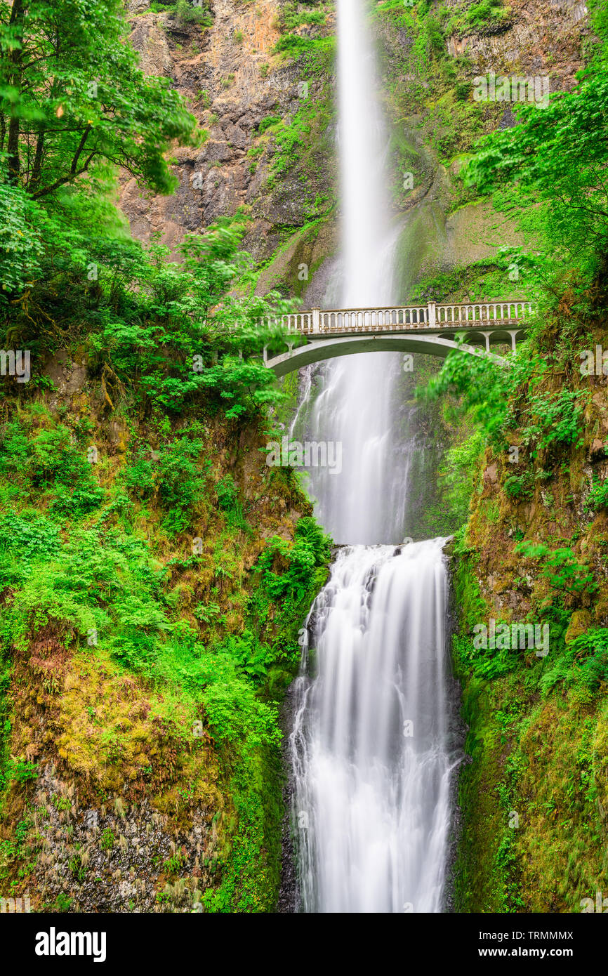 Multnomah Falls, Oregon, USA situé dans la gorge du Columbia. Banque D'Images