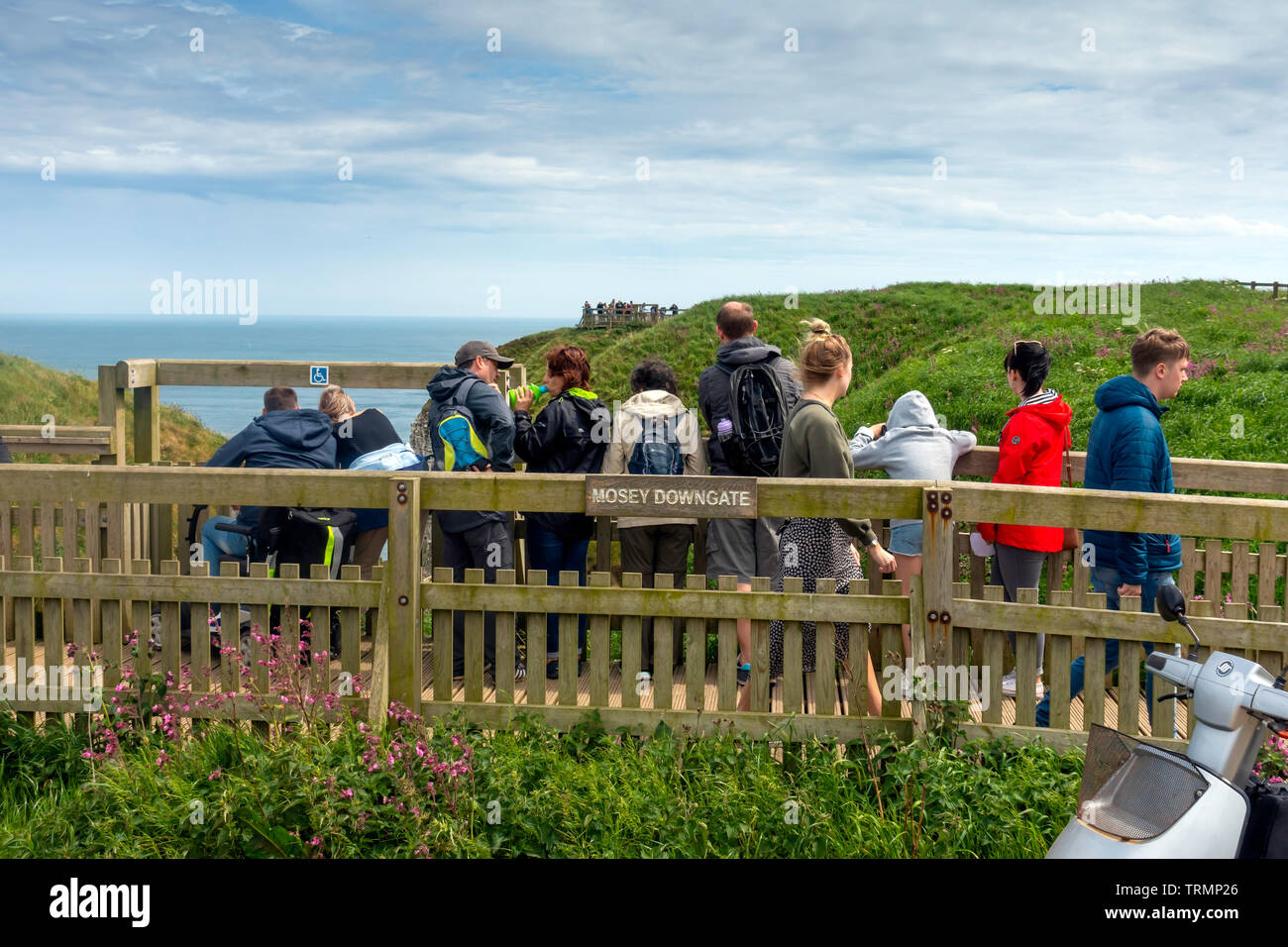 Les visiteurs de falaises de Bempton RSPB Nature Reserve l'affichage de la mer, les oiseaux marins de l'Mosey Downgate viewpoint Banque D'Images