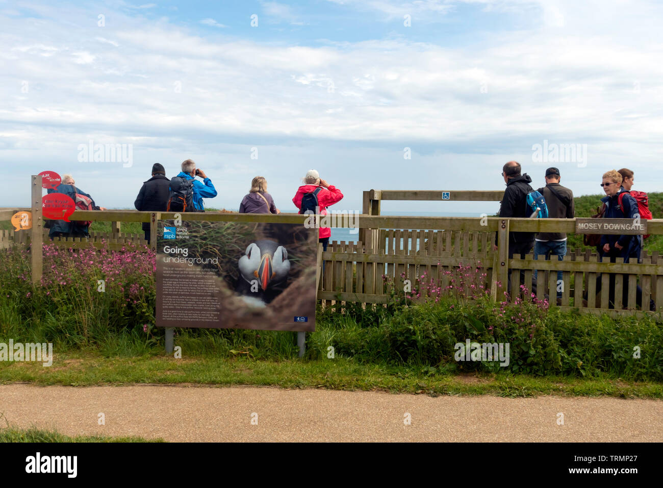 Les visiteurs de falaises de Bempton RSPB Nature Reserve l'affichage de la mer, les oiseaux marins de l'Mosey Downgate viewpoint Banque D'Images