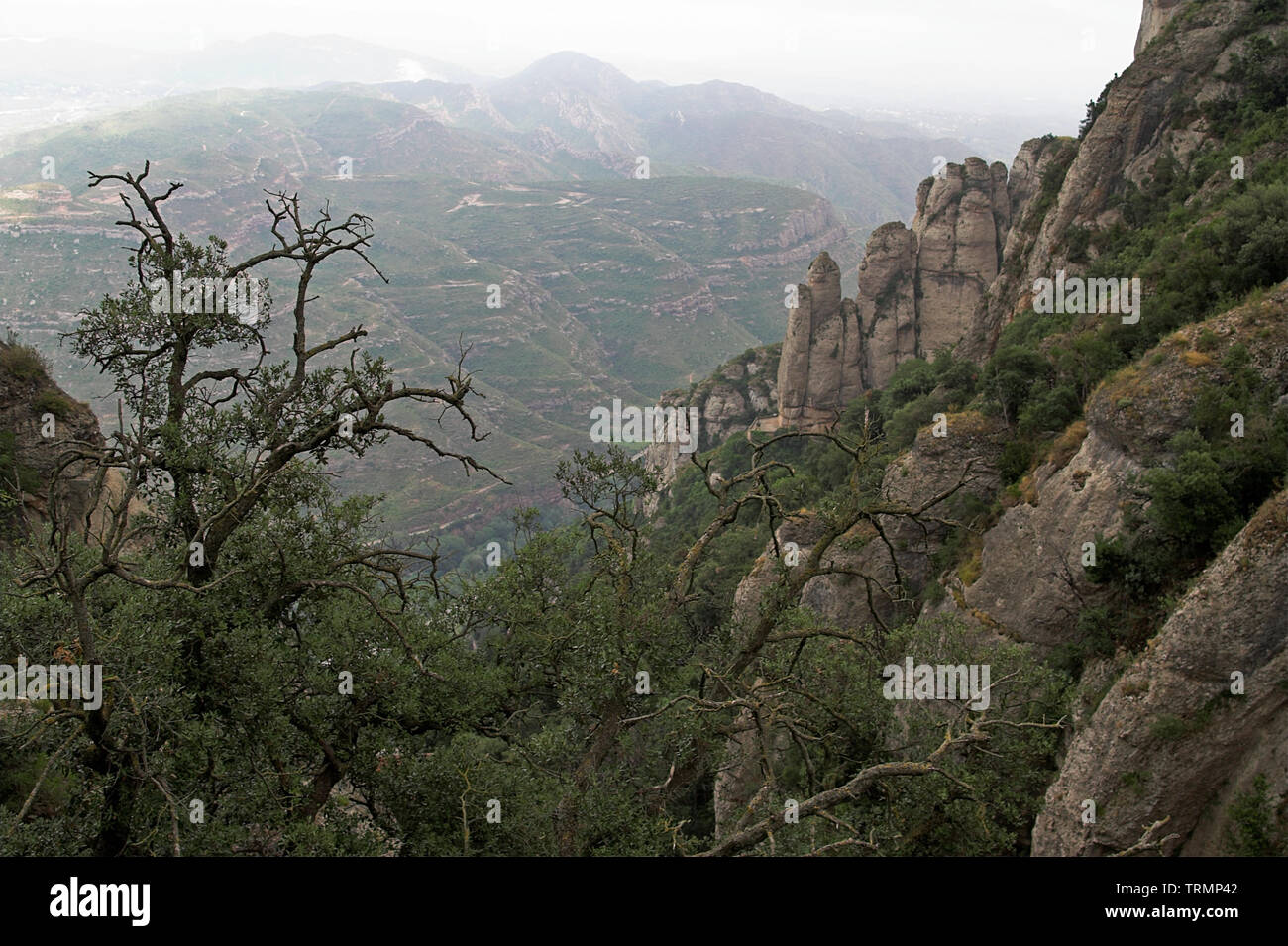 Les rochers et les collines près de Montserrat, en Catalogne, Espagne. Felsen und nahe Hügel, Montserrat, Katalonien Spanien. Je Skały wzgórza w okolicy Montserrat. Banque D'Images