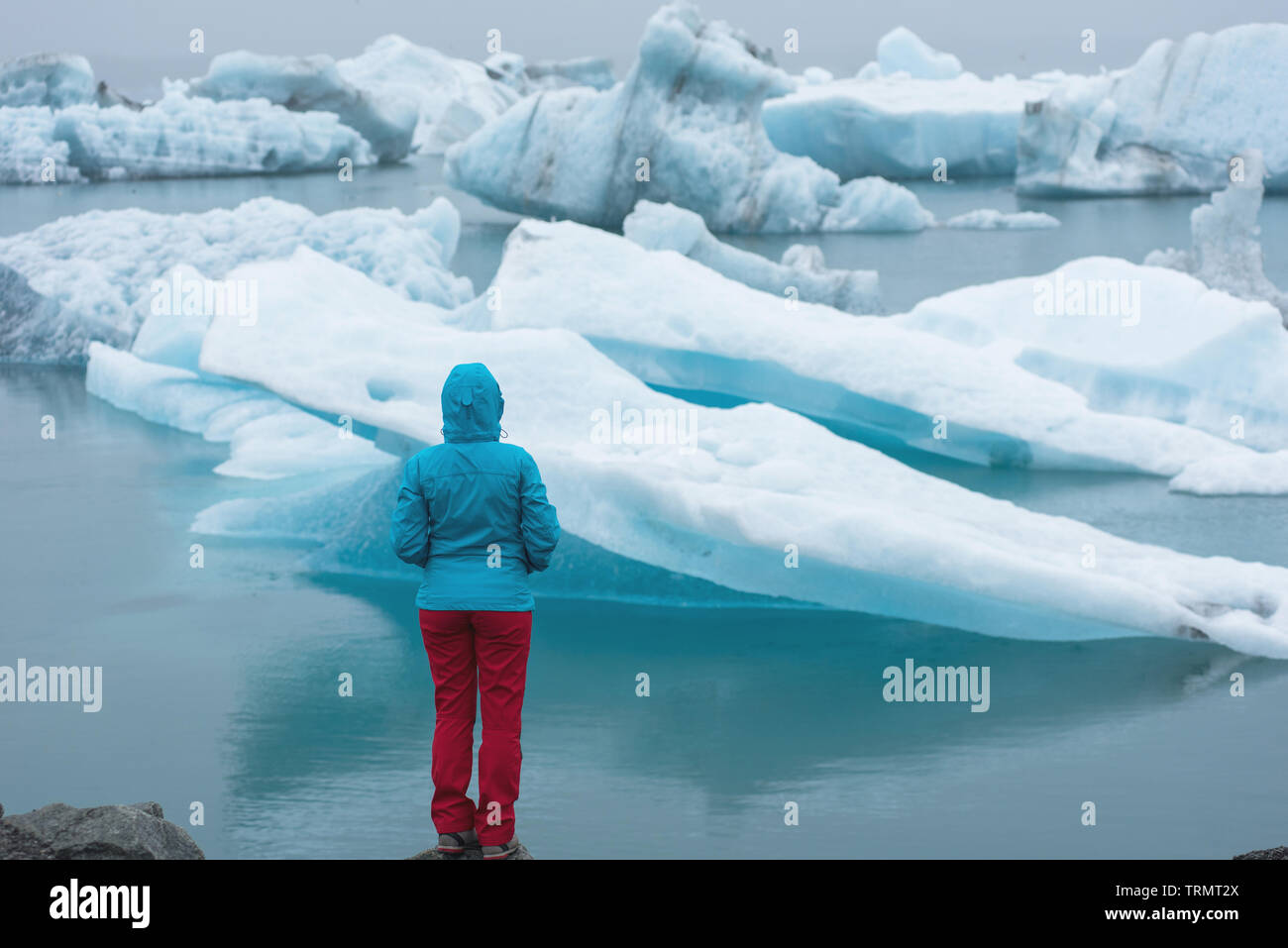 L'admirant les icebergs flottant dans fusion Jokulsarlon glacial Lagoon, à la suite du réchauffement planétaire et du changement climatique. Vatnajokull National P Banque D'Images