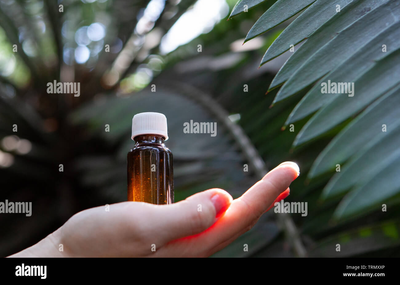 Remède Naturel - une bouteille d'herbes fraîches. La médecine naturelle, bouteille - l'aromathérapie et l'homéopathie. Banque D'Images