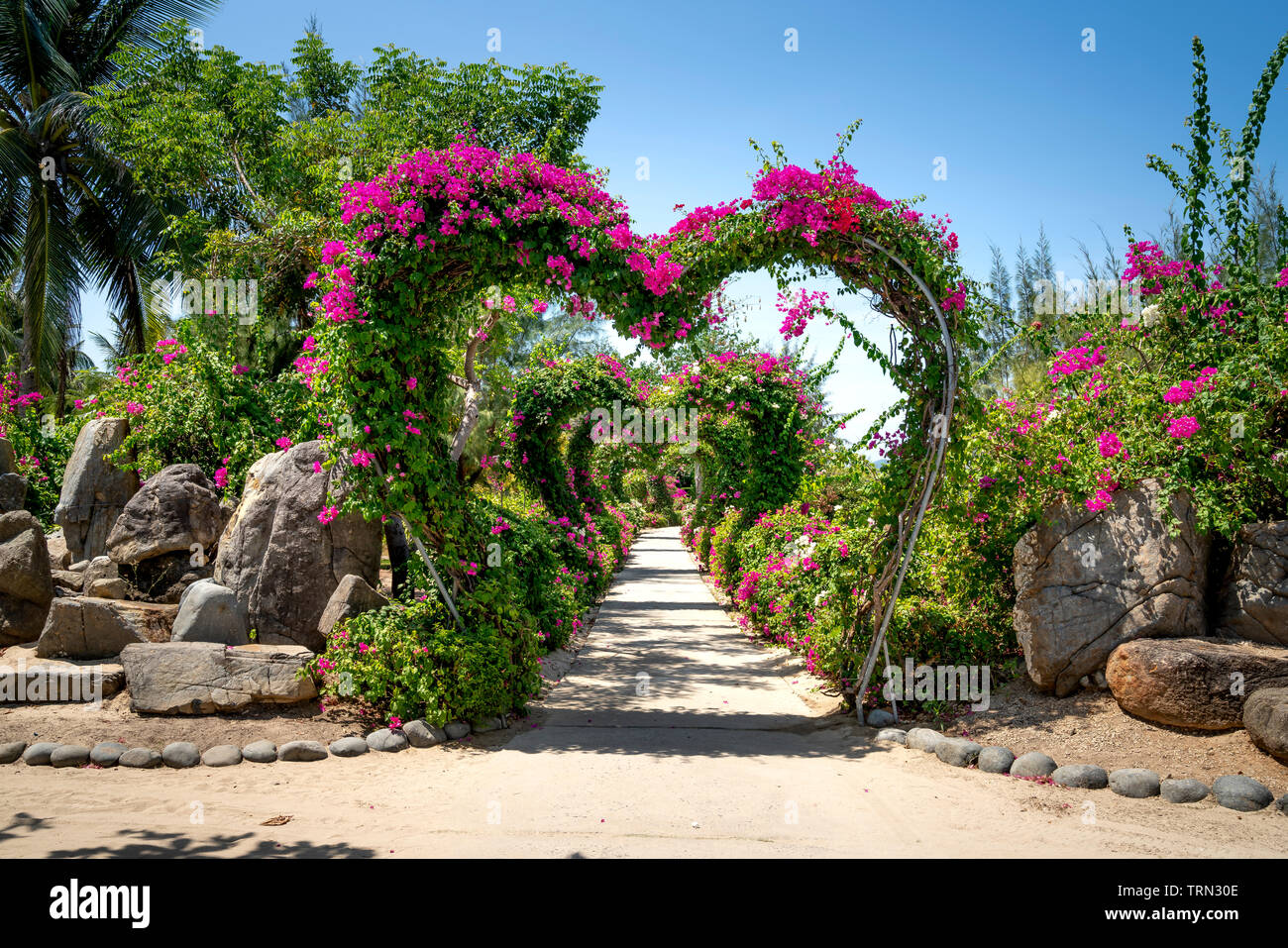 Monkey Island dans la province de Khanh Hoa, Vietnam - Mai 21, 2019 : Belle Fleur Gate Bougainvillea spectabilis forme coeur sur Monkey Island à Khanh Ho Banque D'Images