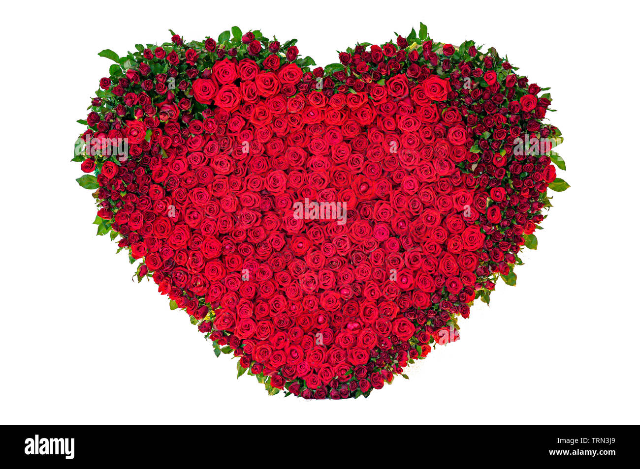 Pétale de rose en forme de coeur Banque de photographies et d’images à