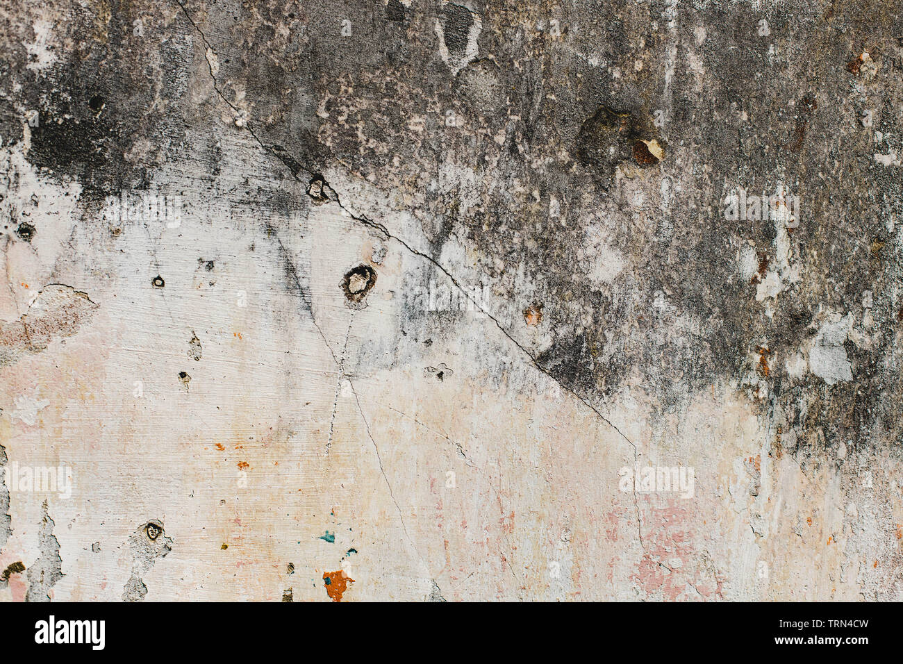 Texture Grunge gris blanc de plâtre, ciment, plâtre Banque D'Images