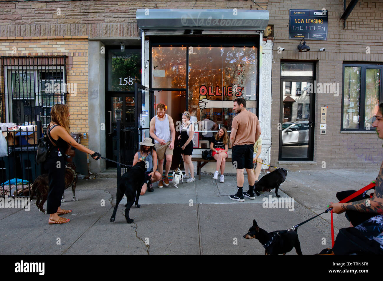 Ollie's Ice Cream + Stuff, 158 Irving Avenue, Brooklyn, NY. Façade extérieure de la boutique de glaces acceptant les animaux dans le quartier de Bushwick Banque D'Images