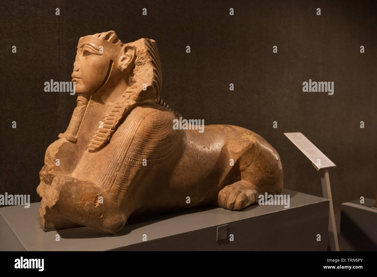 Editorial : LUXOR, Egypte, 16 octobre 2018 - Statue de Toutânkhamon comme sphinx dans le musée de Louxor Banque D'Images