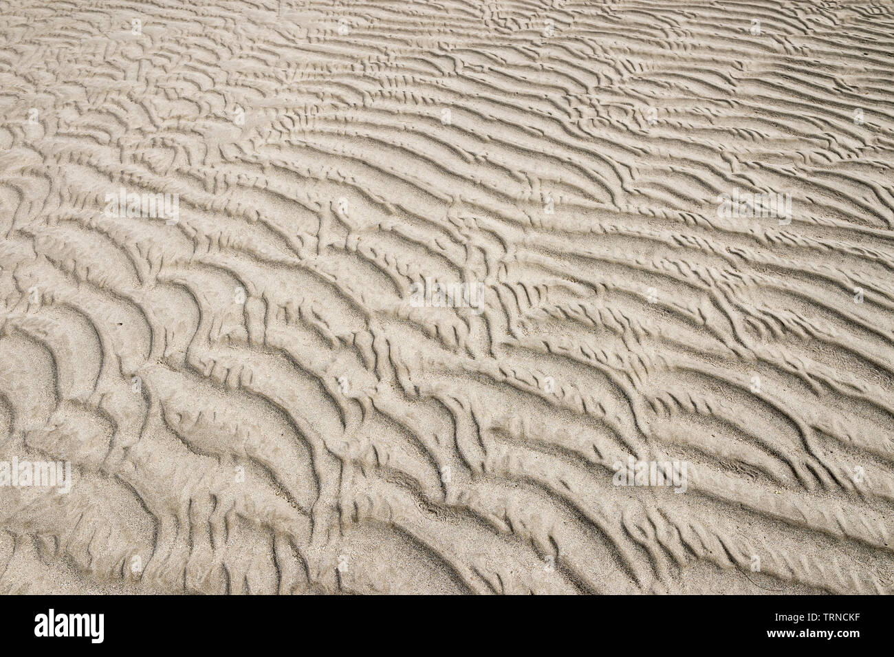 Full Frame abstraite de l'ondulation naturelle motif graphique texturé en sable d'une plage à marée basse Banque D'Images