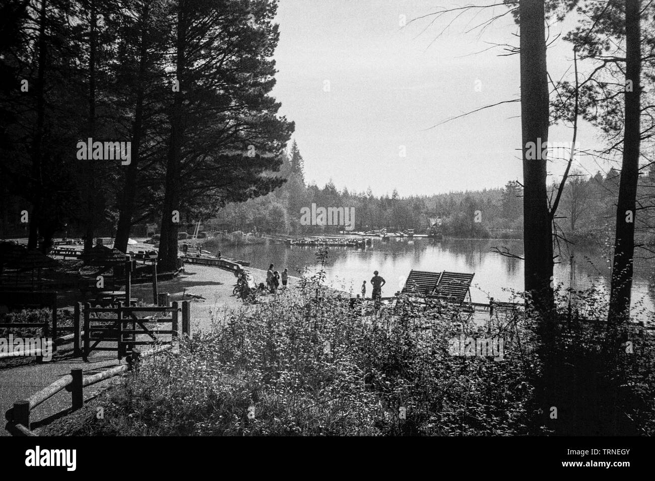 Center Parcs, Longleat, Wiltshire, Angleterre, Royaume-Uni. Banque D'Images
