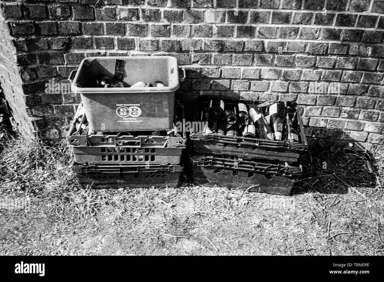 Caisses de bouteilles en verre pour le recyclage collecte, Hattingley, Medstead, Alton, Hampshire, Angleterre, Royaume-Uni. Banque D'Images