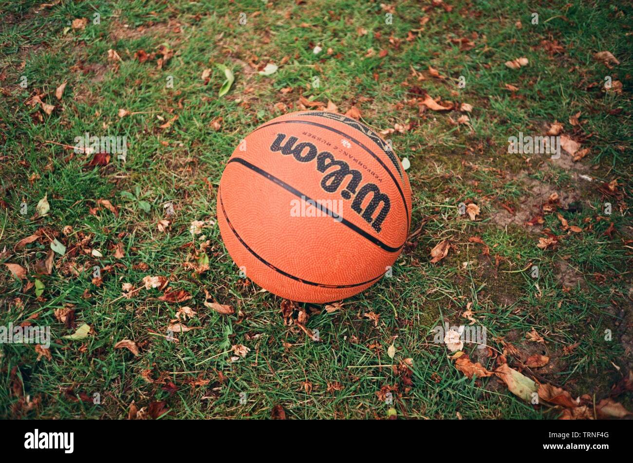 Basketball Wilson à l'extérieur sur l'herbe, Medstead, Hampshire, Angleterre, Royaume-Uni. Banque D'Images