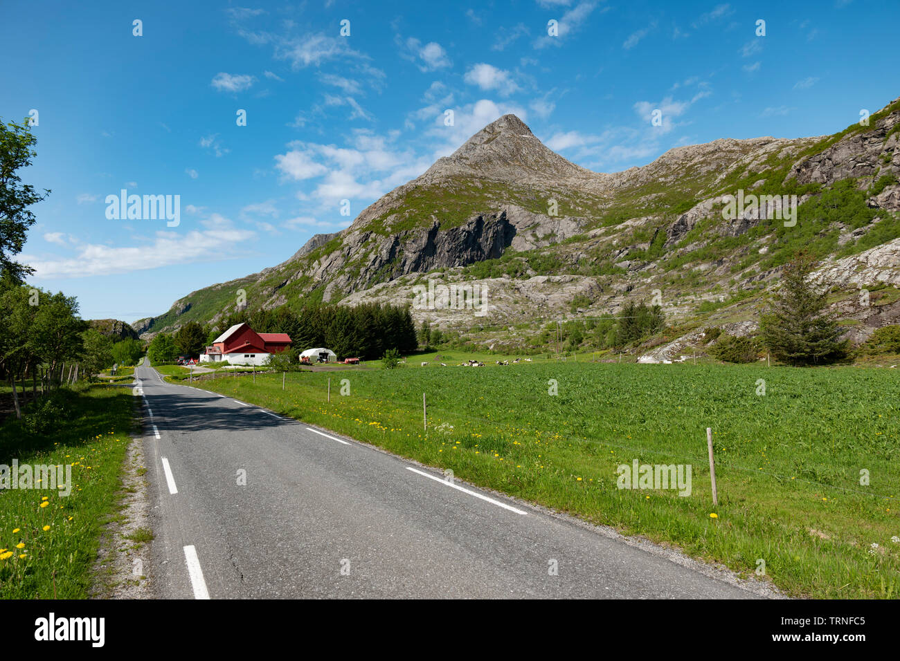 L'île de Heroy, la Norvège, l'été 2019. Banque D'Images