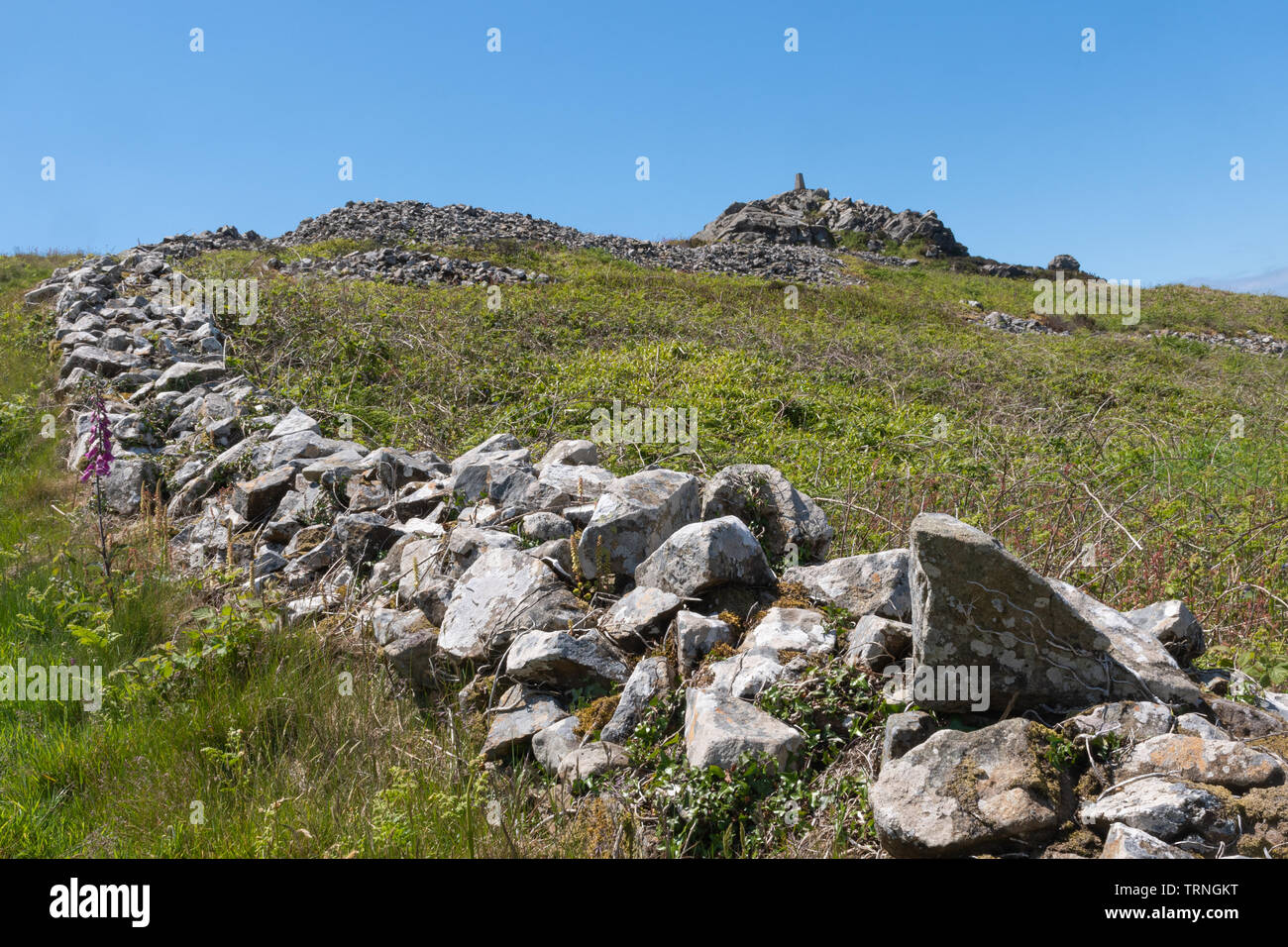 Strumble Head paysage côtier, accidenté paysage rocheux avec mur en pierre sèche et trig point, au cours de l'été à Pembrokeshire, Pays de Galles, Royaume-Uni Banque D'Images