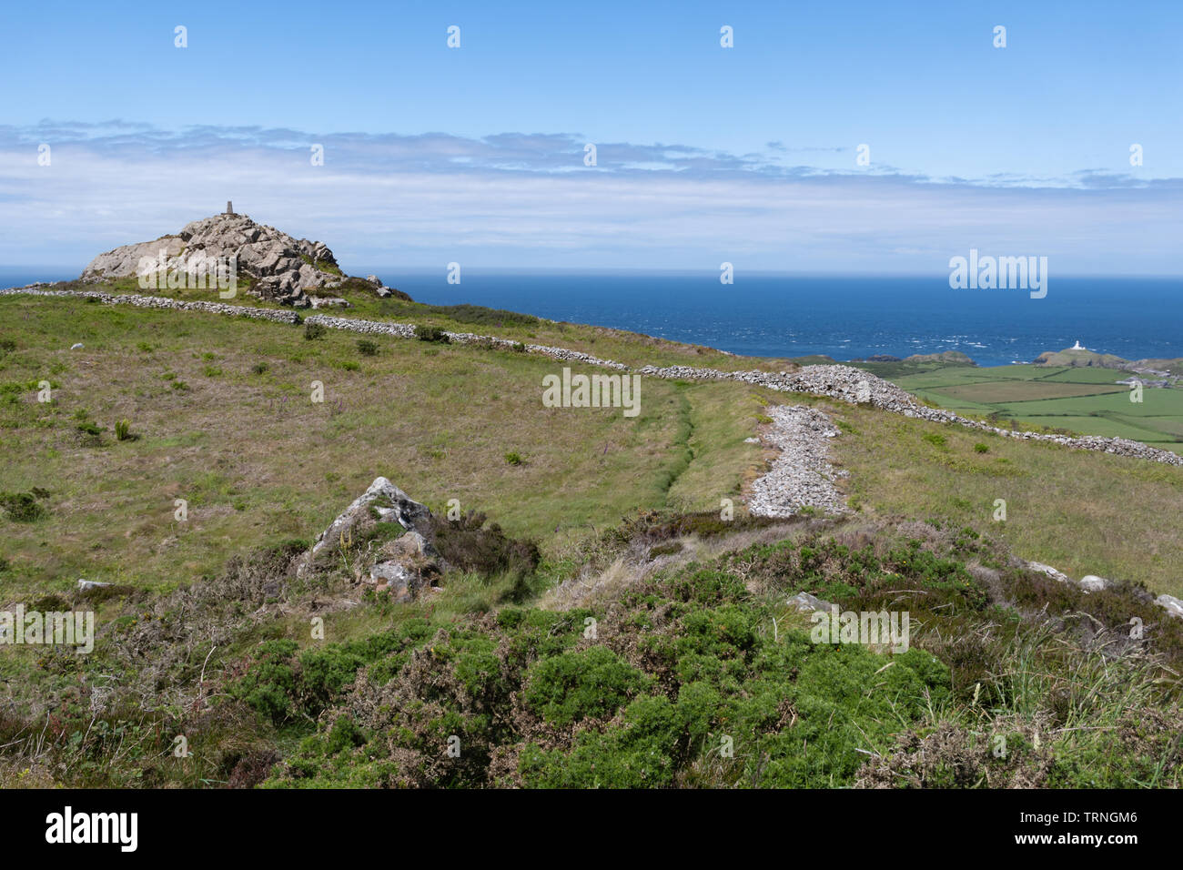 Strumble Head paysages côtiers et paysage rocheux accidenté en été dans la région de Pembrokeshire, Pays de Galles, Royaume-Uni Banque D'Images