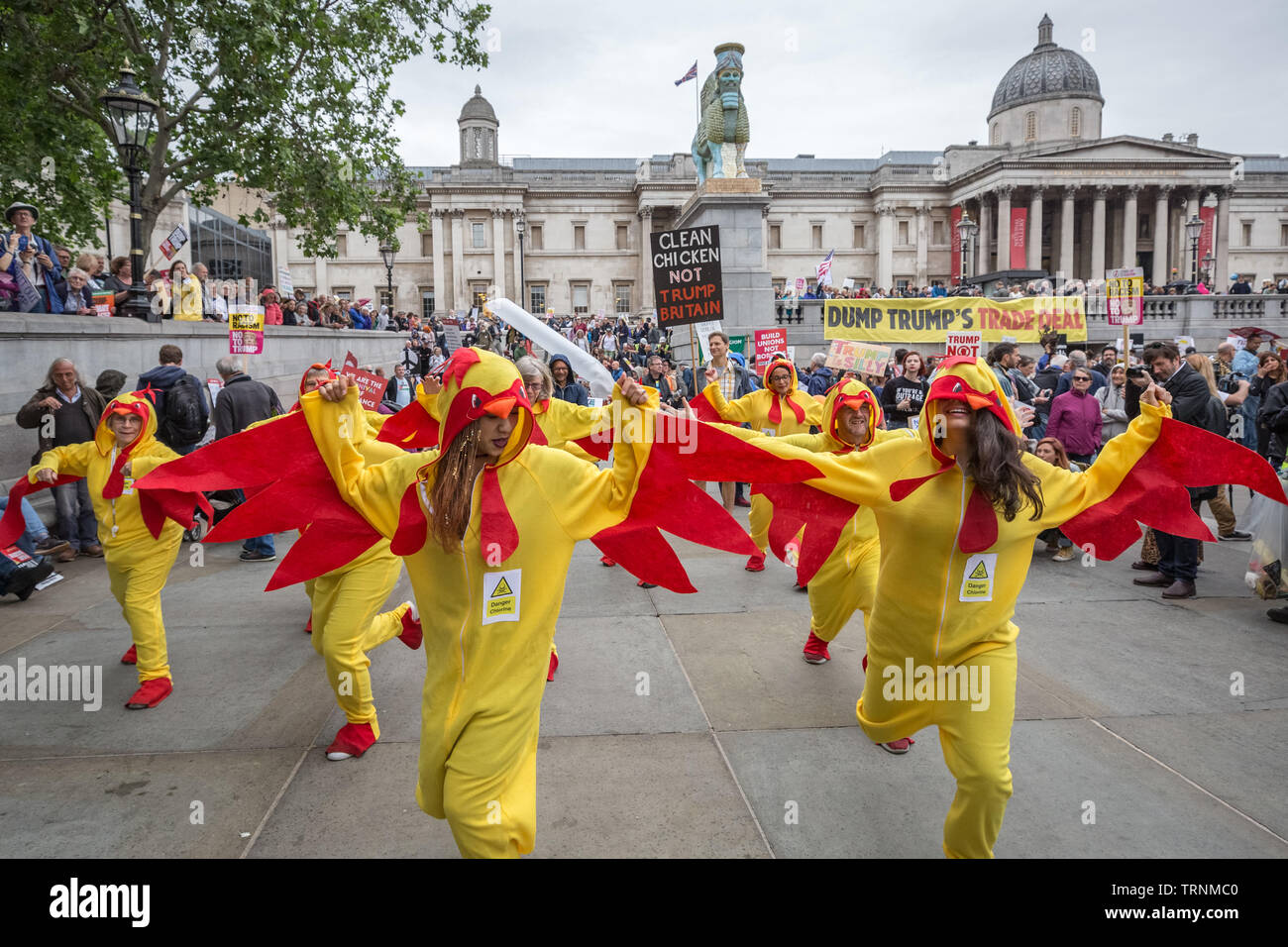 Les spectacles de danse de poulet chloré à Trafalgar Square dans le cadre des manifestations contre le président américain, Donald Trump's UK visite d'état. Banque D'Images
