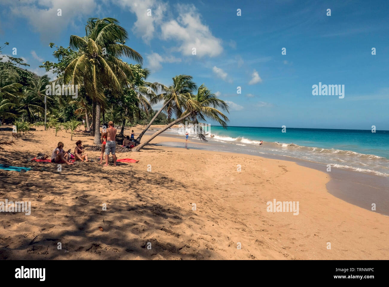La Perle plage de Basse -Terre sur l'île française de la Guadeloupe dans les Antilles Banque D'Images