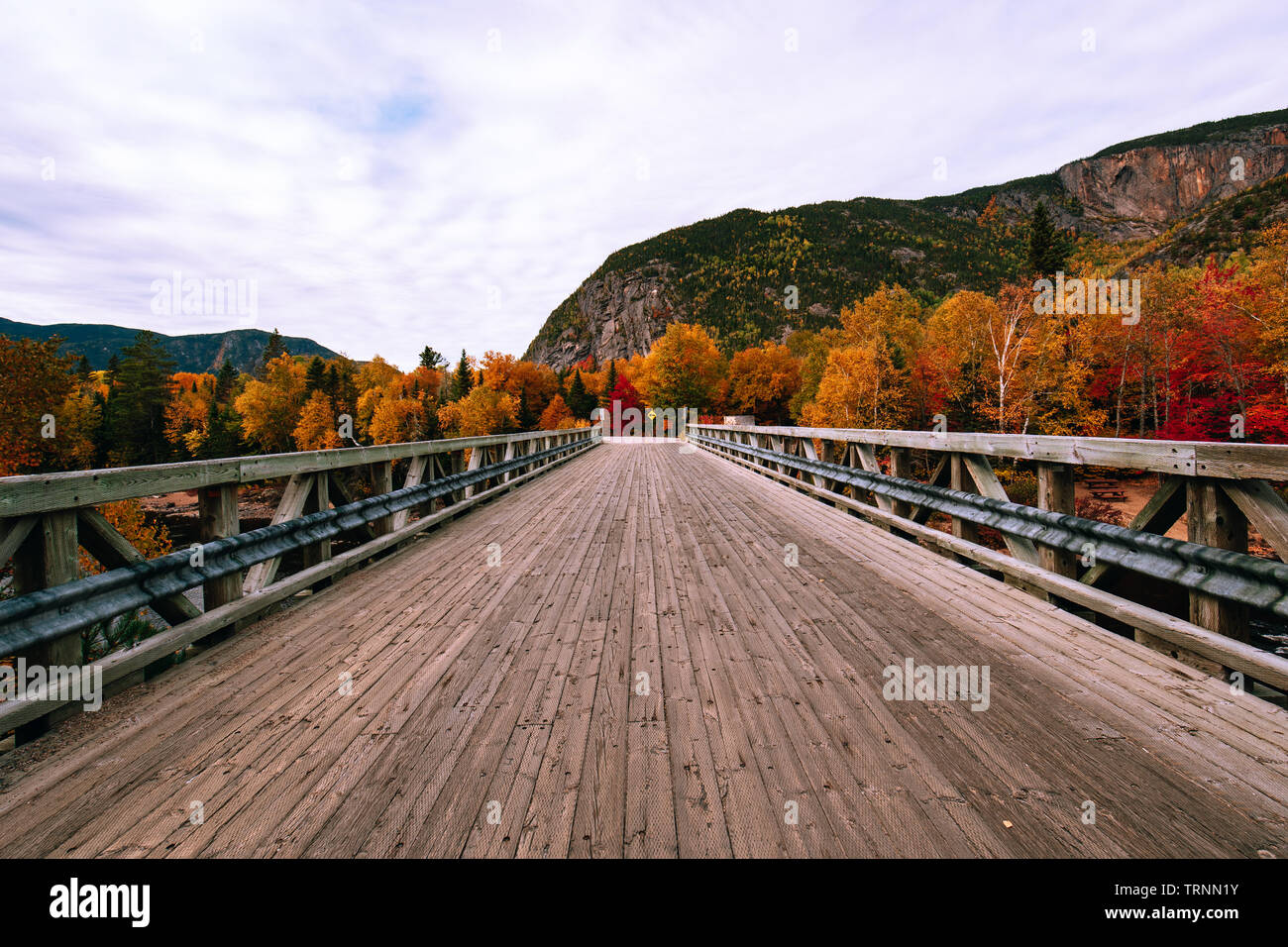 Pont de bois dans le parc régional des Hautes-Gorges de la rivière Malbaie au temps d'automne Banque D'Images