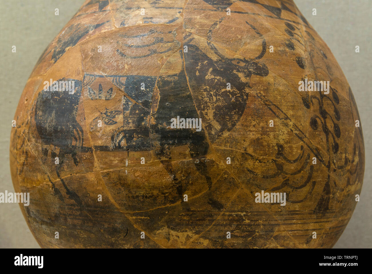 Une partie de la Terre cuite pot Peint. 2600 avant J.-C. - 1800 av. Nausharo, du Pakistan. Département d'archéologie et des musées. Banque D'Images