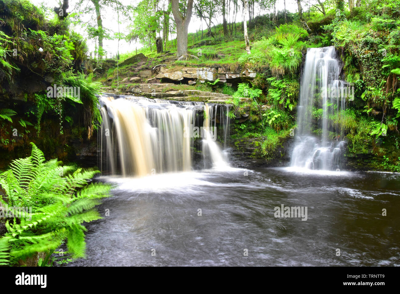 Lumb Falls, Crimsworth Doyen, Hebden Bridge, West Yorkshire, Calderdale Banque D'Images