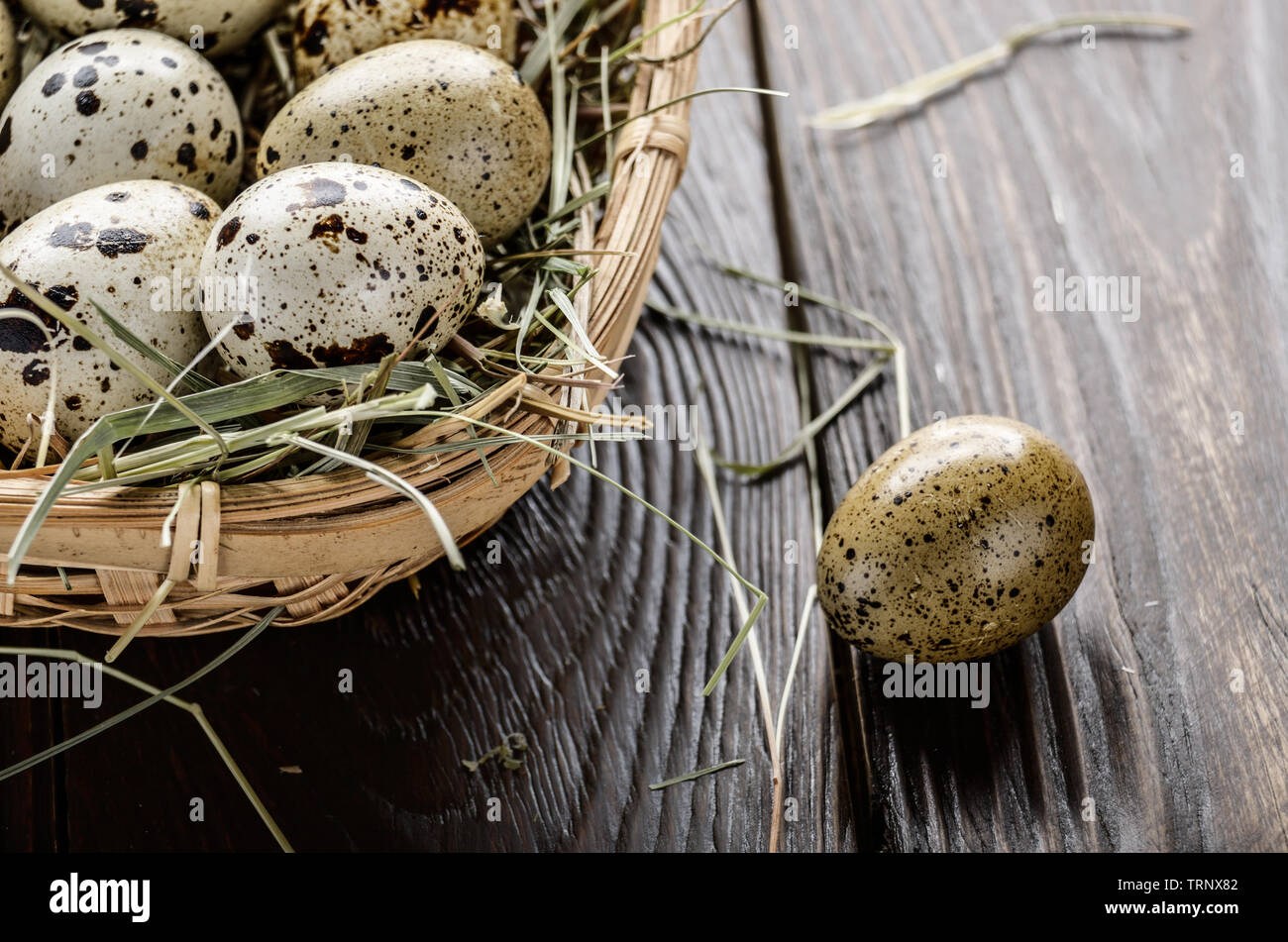 Oeufs de caille frais biologiques dans les petits panier en osier sur la table de cuisine rustique. Un espace réservé au texte Banque D'Images